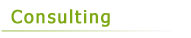 Consulting